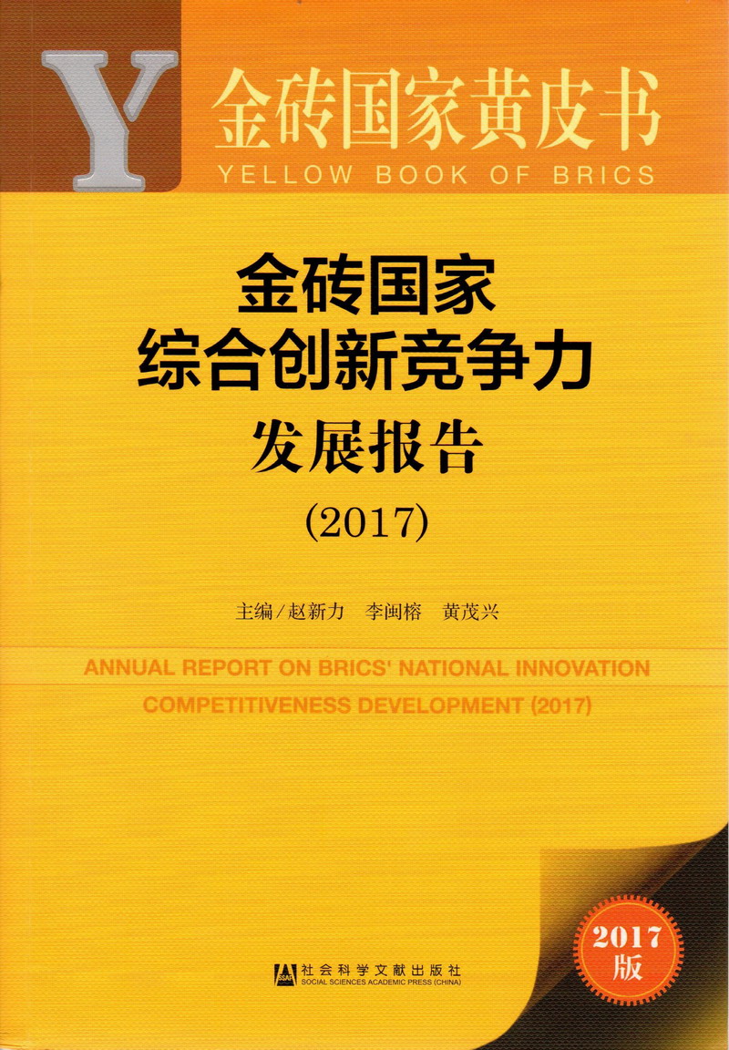 性屄屌网金砖国家综合创新竞争力发展报告（2017）